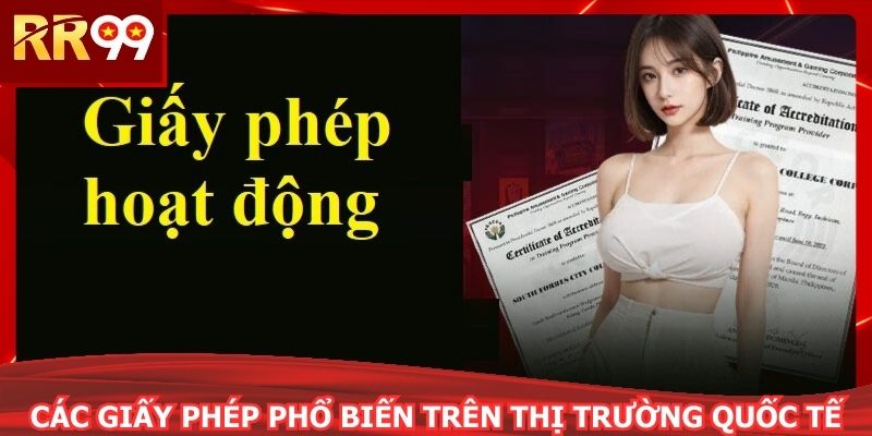 Các giấy phép phổ biến trên thị trường quốc tế